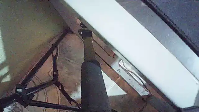 Terraelowen online show from 03.24.26