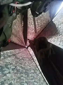 Alabestia12 online show from 11.05.25