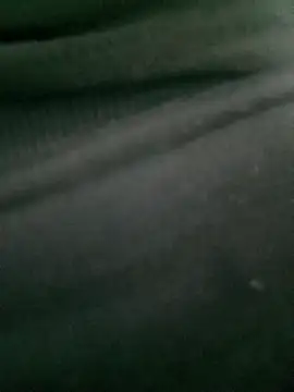 Snapshot of Rose_194 chatting on 10.14.25 Rose 194 online show from 10.14.25