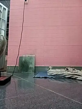 Snapshot of Rose_194 chatting on 10.26.25 Rose 194 online show from 10.26.25