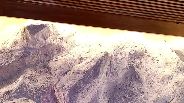 Katarina Rostova online show from 11.19.25