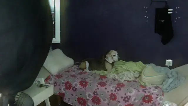 Snapshot of turkishTransEfsun chatting on 09.13.25 turkishTransEfsun online show from 09.13.25