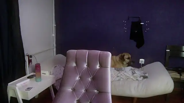 Snapshot of turkishTransEfsun chatting on 10.02.25 turkishTransEfsun online show from 10.02.25