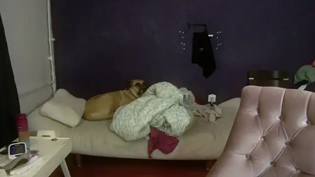 Snapshot of turkishTransEfsun chatting on 11.03.25 turkishTransEfsun online show from 11.03.25