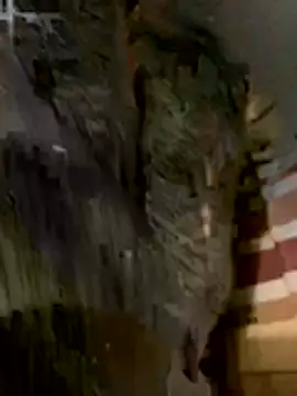 anhye8 online show from 02.08.26