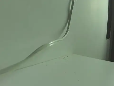 BrigthIbarra online show from 11.12.25