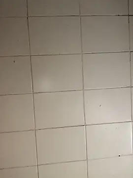 Novinhodotadomg online show from 11.05.25