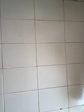 Novinhodotadomg online show from 11.06.25