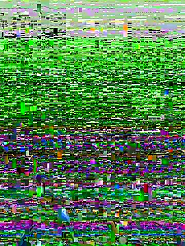 Novinhodotadomg online show from 11.15.25