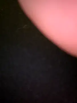 kaylie mitchel online show from 02.24.26