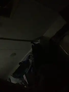 Snapshot of shakeweight chatting on 10.03.25 shakeweight online show from 10.03.25