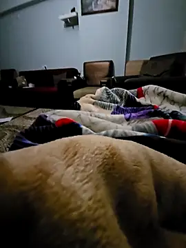 fena-sikerimmm online show from 02.21.26