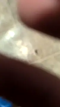 Snapshot of DecimalPoint222InchCock chatting on 11.10.25 DecimalPoint222InchCock online show from 11.10.25