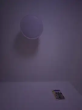 gigolobcn online show from 02.22.26