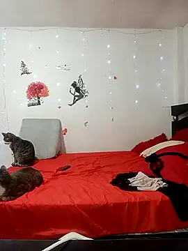 Snapshot of Lady_16 chatting on 02.17.26 Lady 16 online show from 02.17.26