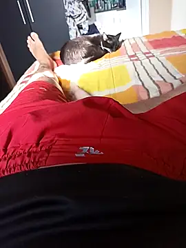 comobucetinhas online show from 11.14.25