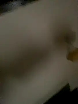 succy33 online show from 10.15.25