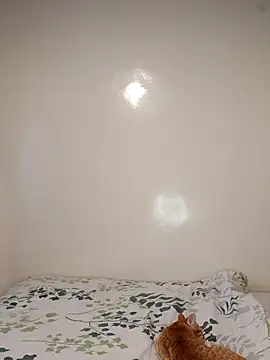 Snapshot of Nedambale chatting on 02.03.26 Nedambale online show from 02.03.26