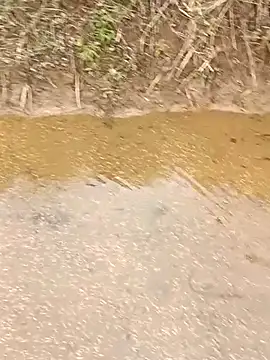 CoMay003 online show from 03.12.26