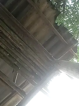 CoMay003 online show from 04.02.26