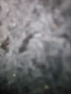 Snapshot of Romance32 chatting on 11.03.25 Romance32 online show from 11.03.25