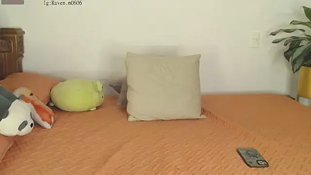 Snapshot of Raven06_ chatting on 11.11.25 Raven06 online show from 11.11.25