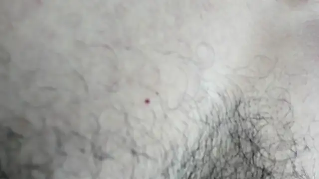 Snapshot of latinhotmuscle chatting on 10.31.25 latinhotmuscle online show from 10.31.25