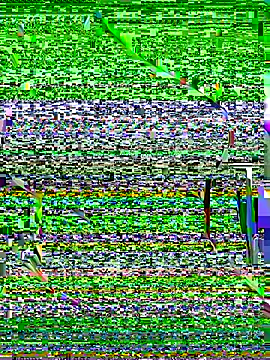 OrchidBae online show from 10.08.25