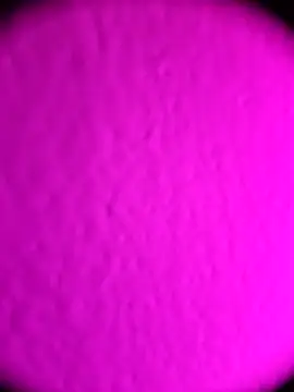 Michou02xXx online show from 02.18.26