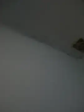 Snapshot of Kriffert chatting on 11.01.25 Kriffert online show from 11.01.25