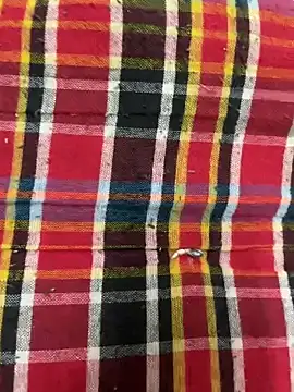 hamstar09 online show from 10.17.25