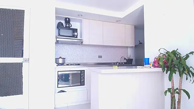 Snapshot of Something_pork4 chatting on 11.30.25 Something pork4 online show from 11.30.25