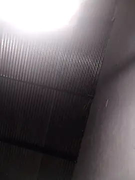 lucerocutte online show from 10.12.25