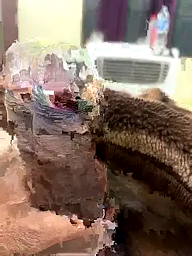 its Surya BBC online show from 11.27.25