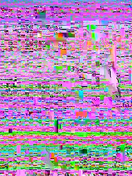 Rouse69  online show from 11.14.25