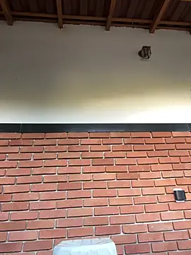 Snapshot of Dunot__ chatting on 12.21.25 Dunot online show from 12.21.25