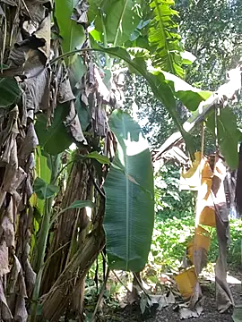 Snapshot of anastasia_cums chatting on 10.17.25 anastasia cums online show from 10.17.25