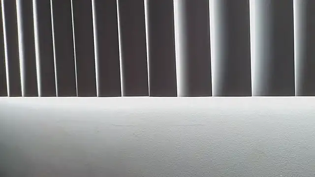 Snapshot of Crystal_Star_ chatting on 11.09.25 Crystal Star online show from 11.09.25