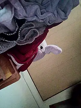 July-Asian online show from 01.18.26