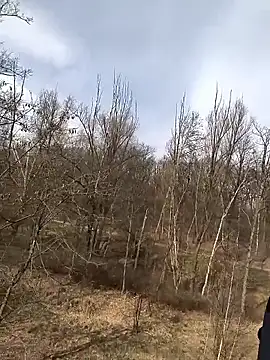 kot766 online show from 03.25.26