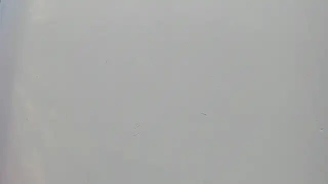 Saammy 17 online show from 09.25.25