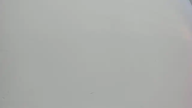 Saammy 17 online show from 10.01.25