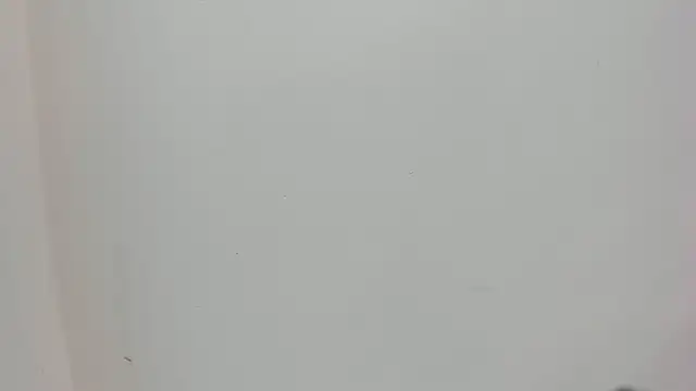 Saammy 17 online show from 10.03.25