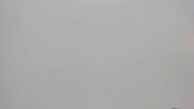 Saammy 17 online show from 10.07.25