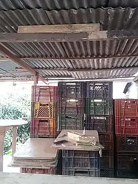 hoteder online show from 02.16.26