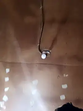 Snapshot of lucho2328 chatting on 10.29.25 lucho2328 online show from 10.29.25