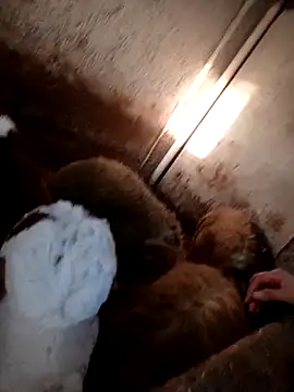 ezgi2545 online show from 02.20.26