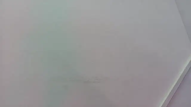 Lizbeth Rouse online show from 11.21.25