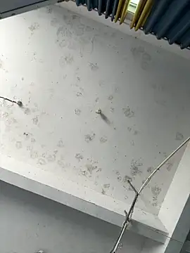 coco-o online show from 09.26.25