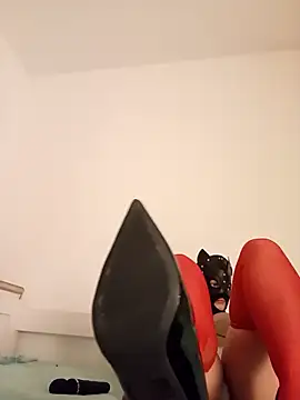 KittenCarnivore online show from 11.22.25